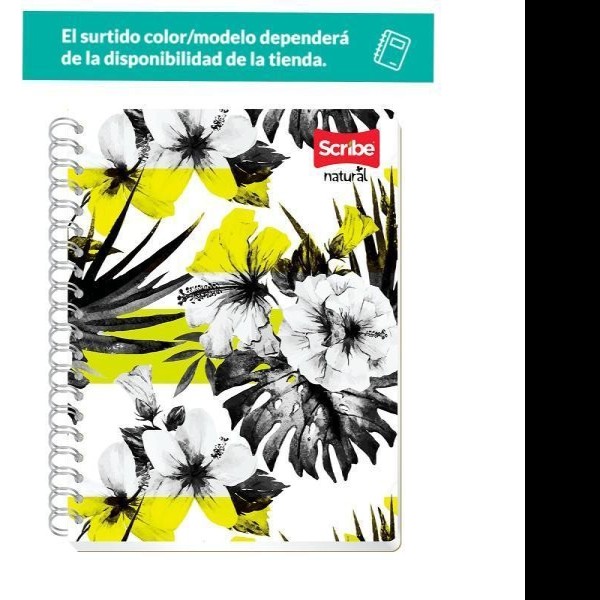 CUADERNO PROF. NATURAL SCRIBE 8080 RAYA ESP. 200H. C.12